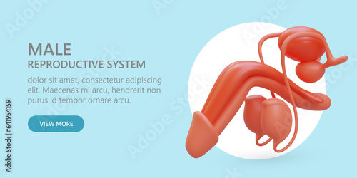 Male reproductive system. Services of urologist. Advertisement of medical clinic. Regular examination of prostate. Testing for venereal diseases. Banner on blue background
