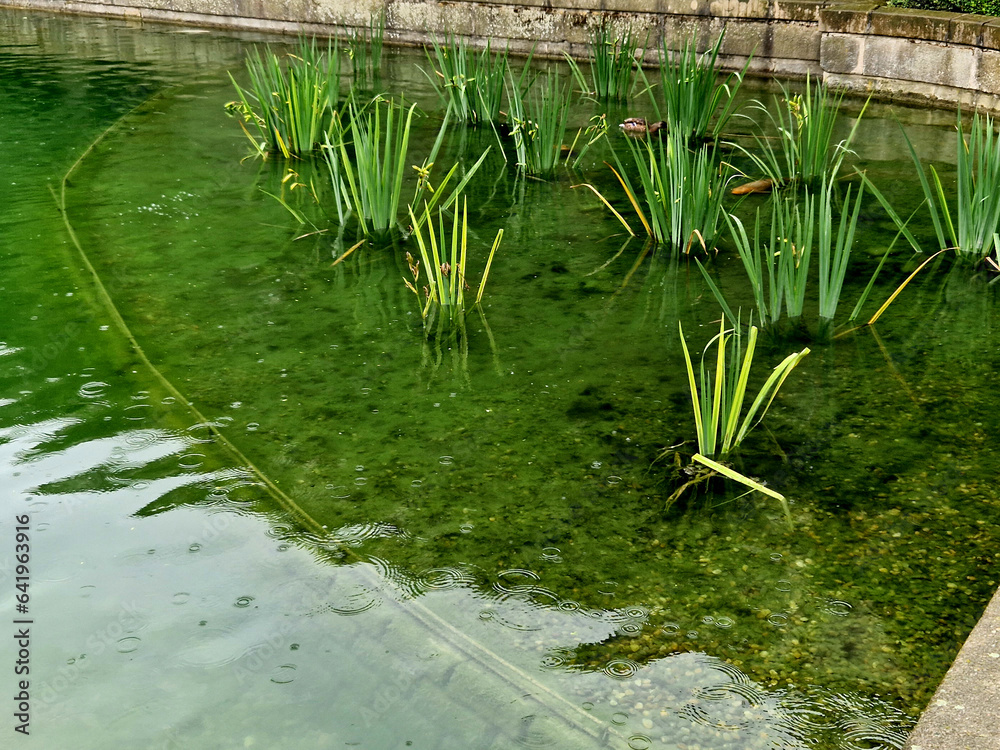 construction of artificial islands with a gradual entry into the water