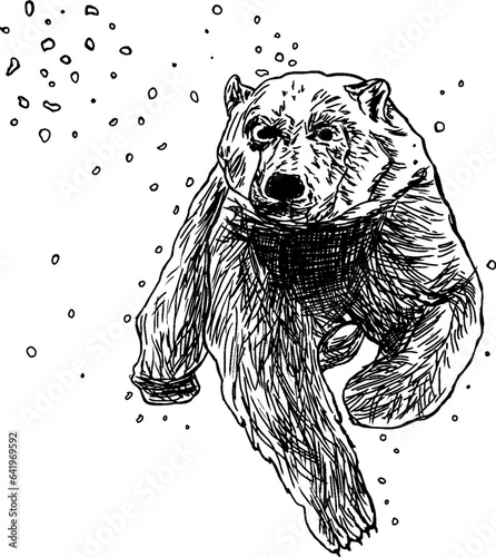 Wallpaper Mural Grizzly bear under snow sketch black and white vector graphics Torontodigital.ca