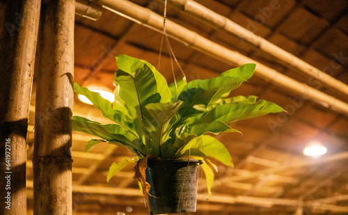 Wood Floating Pot Flower Pot Levitating Plant Pot Float