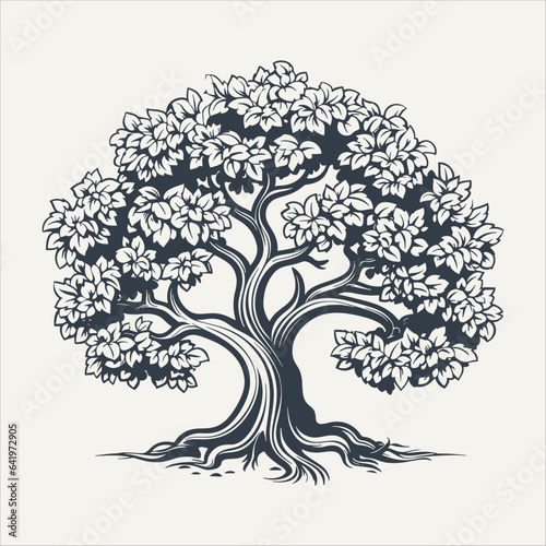 Oak tree. Vintage woodcut engraving style vector illustration.