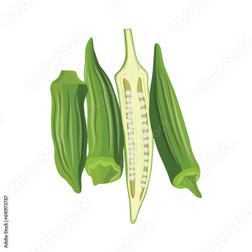 Vecktor illustration of Okra, Okura Okazu, ladyfinger, bamia or Bhindi. Fresh green vegetable, asian cooking ingredient. Whole and sclice. Healthy vegetarian food. Flat vector in cartoon style.