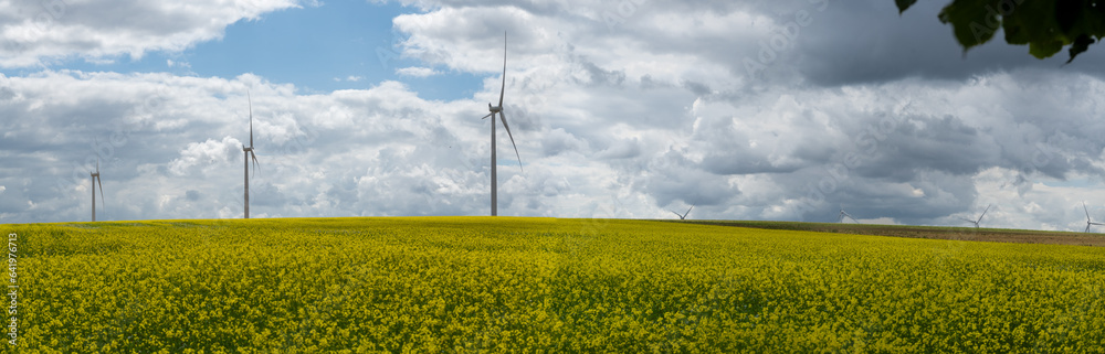 Windmills for electric power surrounded by a rapeseed field against a cloudy sky, Energy Production with clean and Renewable Energy, High quality photo Windmills for electric power surrounded by a rapeseed field against a cloudy sky, Energy Production with clean and Renewable Energy, High quality photo