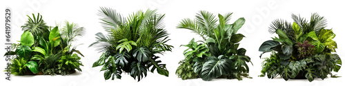 Set of Green leaves of tropical plants bush (Monstera, palm, rubber plant, pine, bird’s nest fern) floral arrangement indoors garden . Isolated on transparent background © Mrs__DoubleF