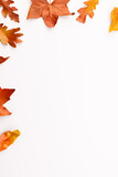 Vertical image of autumn leaves with copy space on white background