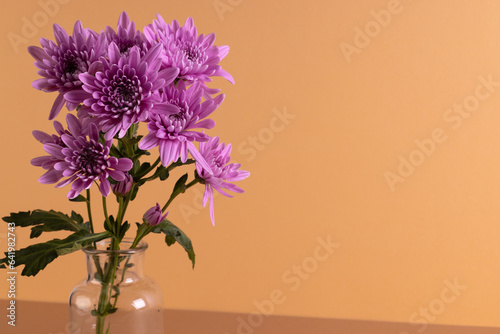 Foto Purple flowers in glass vase and copy space on orange background