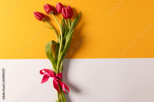 Bunch of red tulips and copy space on orange and white background