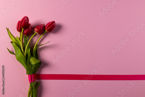 Bunch of red tulips with red ribbon and copy space on pink background