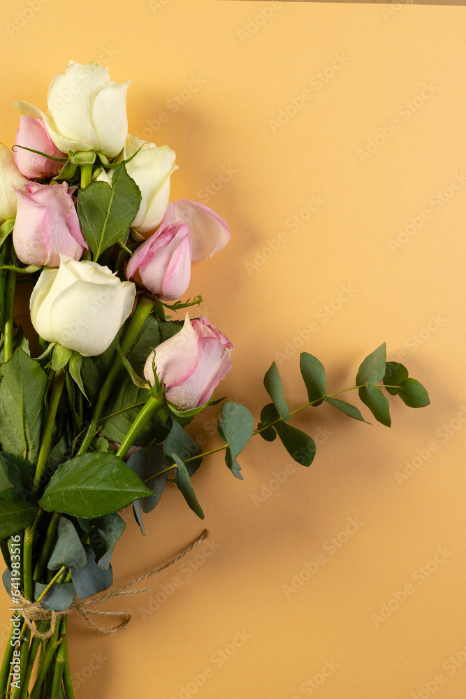 Fototapeta premium Vertical image of bunch of pink and white rose flowers with copy space on orange background