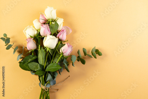 Bunch of pink and white rose flowers with copy space on orange background