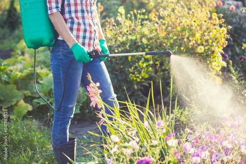 woman in a green backpack with a pressure garden sprayer spraying flowers against diseases and pests