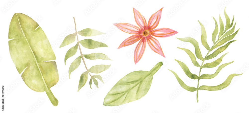 Watercolor tropical floral illustration set. Green leaves, blush flower clipart.