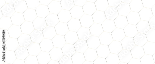 Hexagon geometric pattern. seamless hex background. abstract honeycomb cell. vector, abstract geometric hexagon white and gray color background. Computer digital drawing. white background.