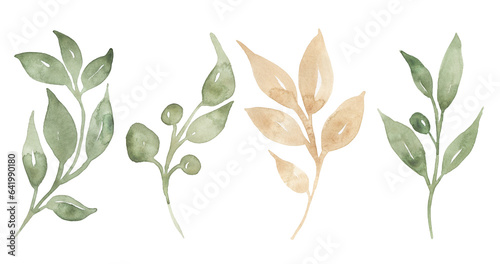 Leaves branch illustration set, delicate florals clipart collection, greenery clip art