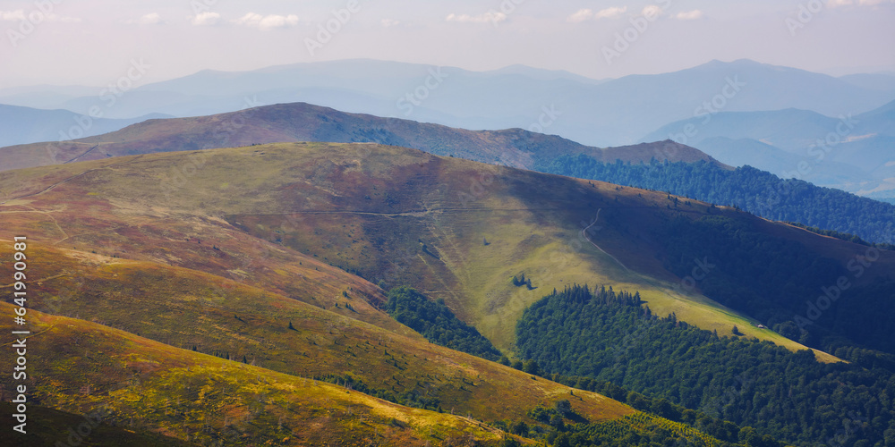 Fototapeta premium carpathian highlands in fall colors. nature background with colorful alpine hills and meadows in evening light. borzhava ridge, transcarpathia, ukraine