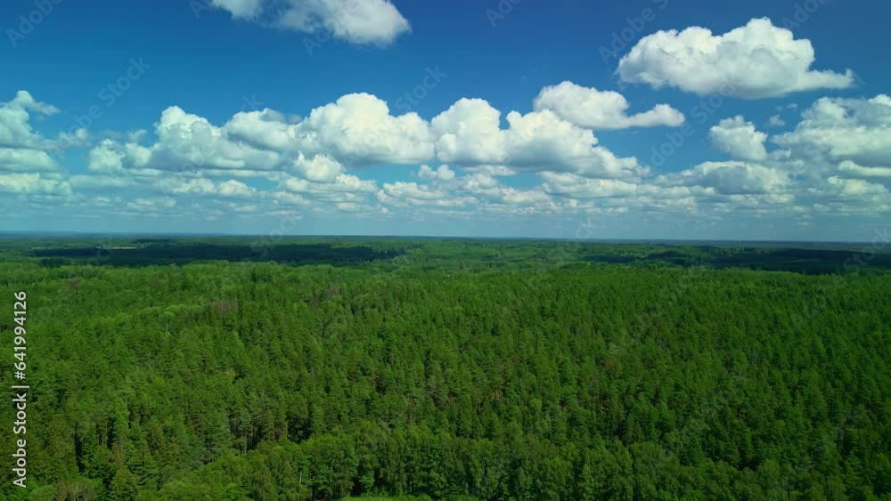 Aerial drone shot flying over a beautiful dense green forest with white clouds passing by on a sunny day. Aerial drone shot flying over a beautiful dense green forest with white clouds passing by on a sunny day.