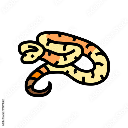 boa constrictor animal snake color icon vector. boa constrictor animal snake sign. isolated symbol illustration