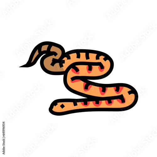 corn snake animal snake color icon vector. corn snake animal snake sign. isolated symbol illustration