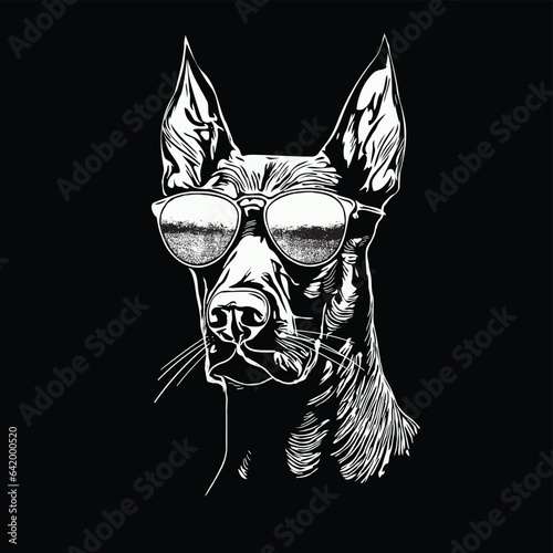 doberman portrait illustration wearing sunglasses