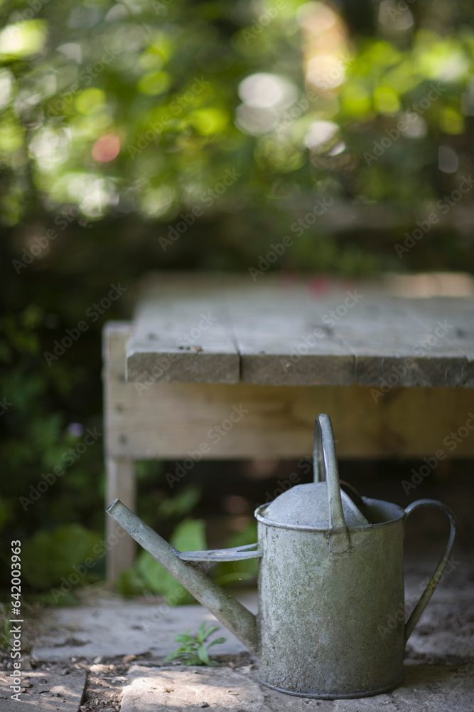 Summer garden and metal watering can
Summer garden and metal watering can