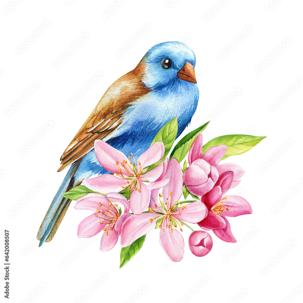 beautiful apple flowers and blue bird on branch, isolated white background, watercolor botanical painting illustration