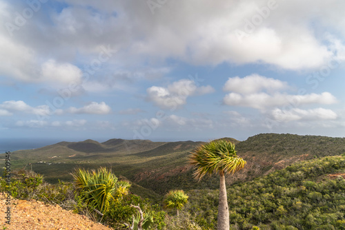 Scenic view of the sky and scenery on an island in the Caribbean photo