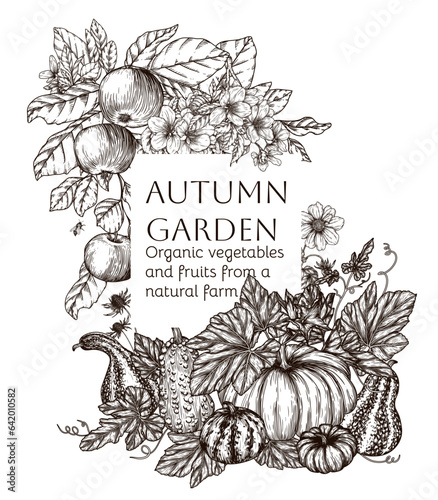 Vector frame autumn garden in engraving style. Apple tree branch, pumpkin variety and autumn flowers