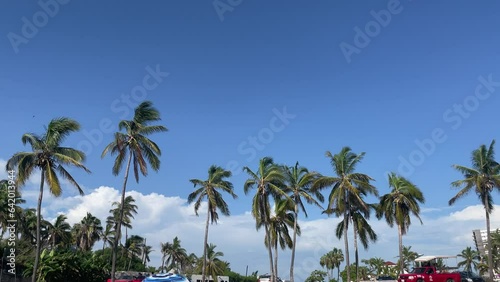 Palm trees summer on the beach and blue sky 4k video