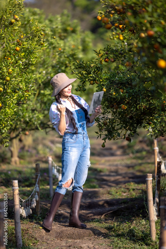 Women owner plantation checking quality tangerines and checks market prices with her tablet.Women working and contact customers who order online on smartphone in orange orchard.Women happy, Success.