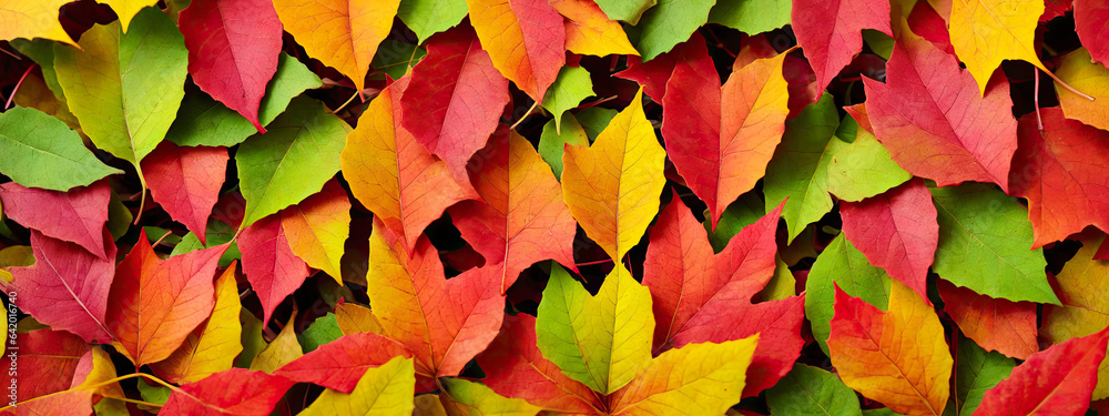 autumn foliage background. lot of colorful leaves in style of vivid tones. Generative AI