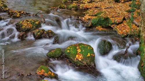 Stormy mountain river in the autumn forest