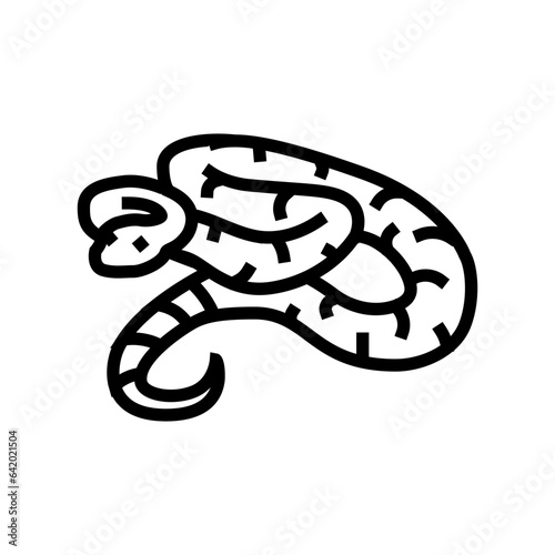 boa constrictor animal snake line icon vector. boa constrictor animal snake sign. isolated contour symbol black illustration