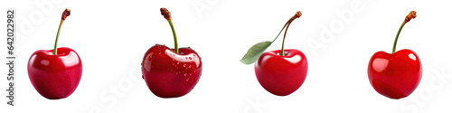 Print op canvas Isolated black cherry transparent background