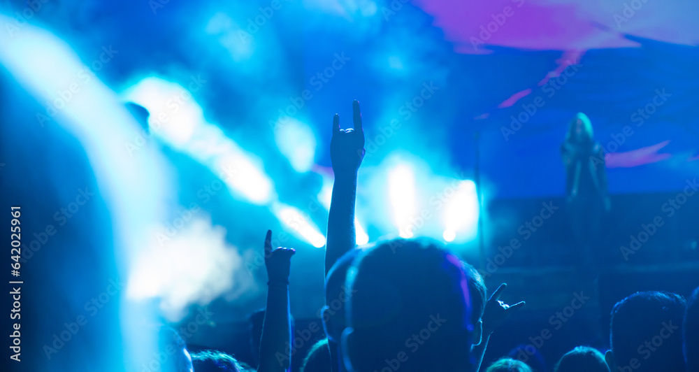 Obraz premium crowd at concert - summer music festival.