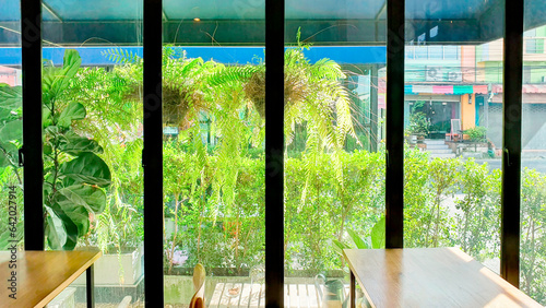 Landscape view from the window for relaxing time, Window interior design with green plant ouside, Flare light through the window in afternoon