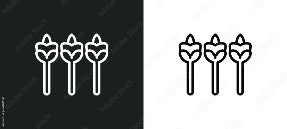 asparagus icon isolated in white and black colors. asparagus outline vector icon from fruits collection for web, mobile apps and ui.