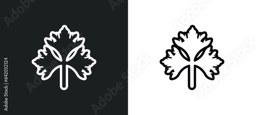 parsley icon isolated in white and black colors. parsley outline vector icon from fruits collection for web, mobile apps and ui.
