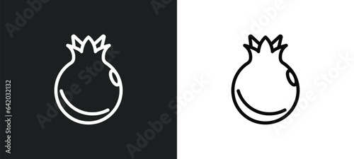 pomegranate icon isolated in white and black colors. pomegranate outline vector icon from fruits collection for web, mobile apps and ui.
