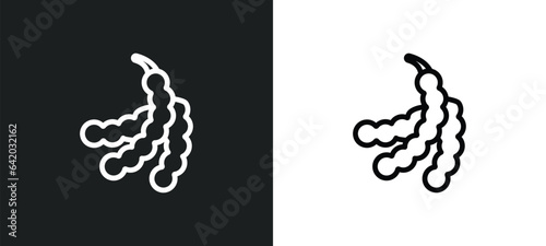 tamarind icon isolated in white and black colors. tamarind outline vector icon from fruits collection for web, mobile apps and ui.