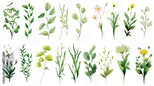 set Watercolor floral- leaf branches collection. Set of floral branch. Flower pink rose, green leaves. Wedding concept with flowers. Watercolor floral pattern. 