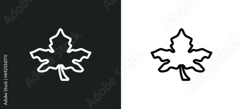 sycamore tree icon isolated in white and black colors. sycamore tree outline vector icon from nature collection for web, mobile apps and ui.