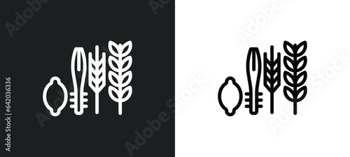 four species icon isolated in white and black colors. four species outline vector icon from religion collection for web, mobile apps and ui.