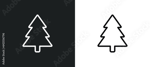 fir icon isolated in white and black colors. fir outline vector icon from winter collection for web, mobile apps and ui. photo