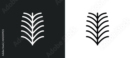 yew leaf icon isolated in white and black colors. yew leaf outline vector icon from nature collection for web, mobile apps and ui. photo