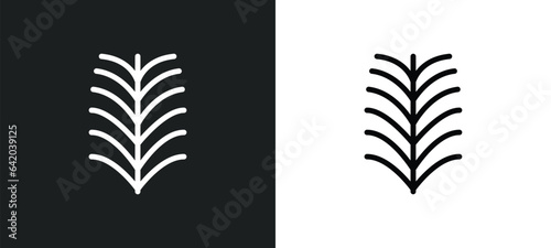 Fotografie yew leaf icon isolated in white and black colors