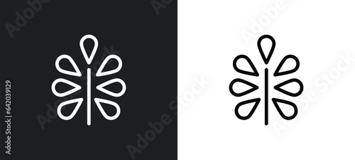 pecan leaf icon isolated in white and black colors. pecan leaf outline vector icon from nature collection for web, mobile apps and ui.