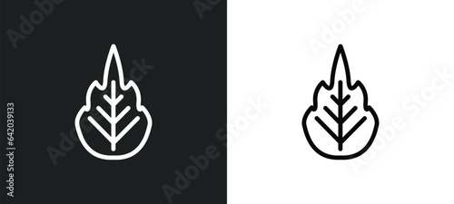 Fototapeta Naklejka Na Ścianę i Meble -  magnolia leaf icon isolated in white and black colors. magnolia leaf outline vector icon from nature collection for web, mobile apps and ui.