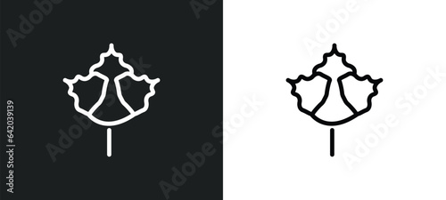 rowan leaf icon isolated in white and black colors. rowan leaf outline vector icon from nature collection for web, mobile apps and ui.