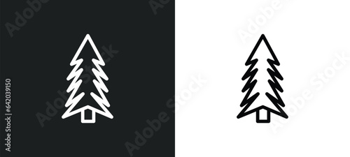 spruce icon isolated in white and black colors. spruce outline vector icon from nature collection for web, mobile apps and ui.