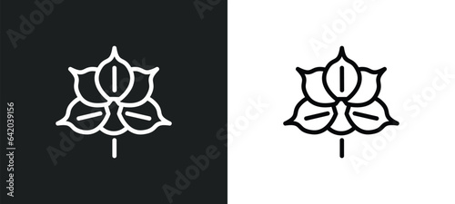 sprig with five leaves icon isolated in white and black colors. sprig with five leaves outline vector icon from nature collection for web, mobile apps and ui.